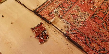 Restauración gran desgaste lateral de alfombra por inexorable paso del tiempo1